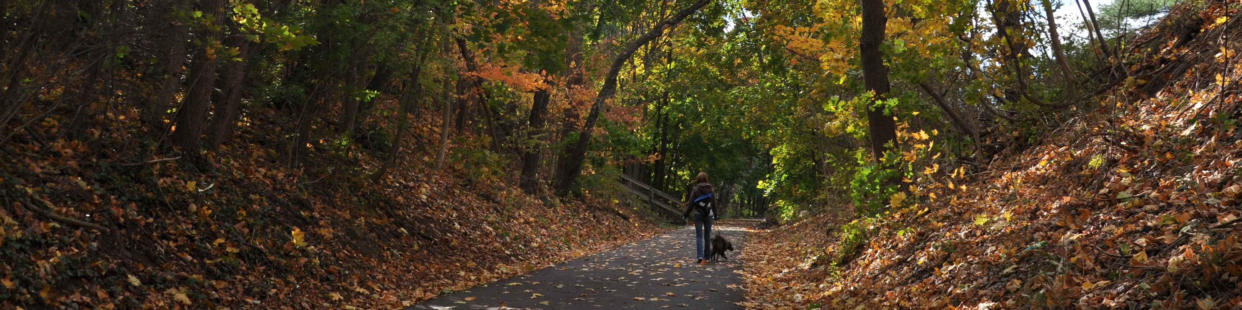 Fall on the Huckleberry Trail