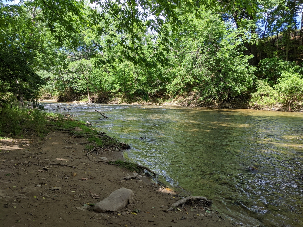 The South Fork of the Roanoke River flows past trees, rocks and bare riverbank on a sunny summer day.