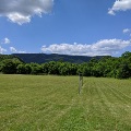 The open green space is lined with trees and a backdrop of mountains.