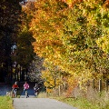 People enjoy bicycling on the Huckleberry Trail between farmland and forest.