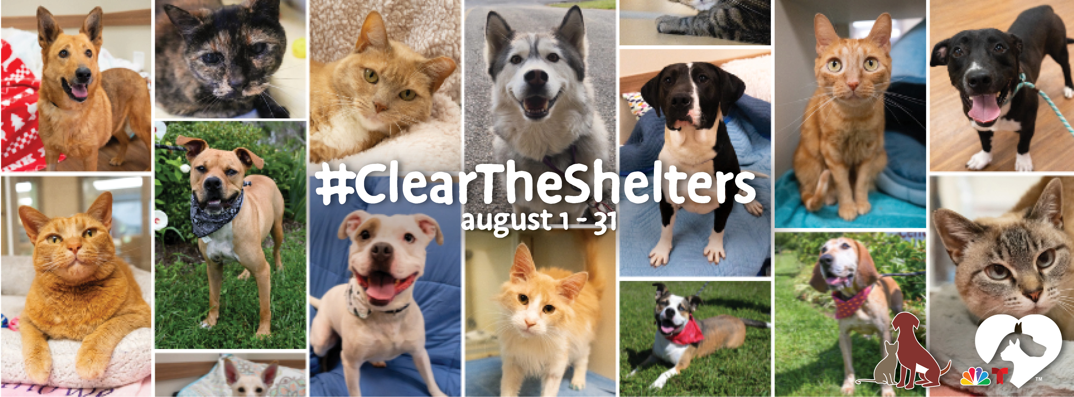 Clear the Shelters August 1-31, 2026